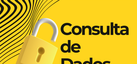 Consulta de Dados Financeiros, Jurídicos, Civis e mais